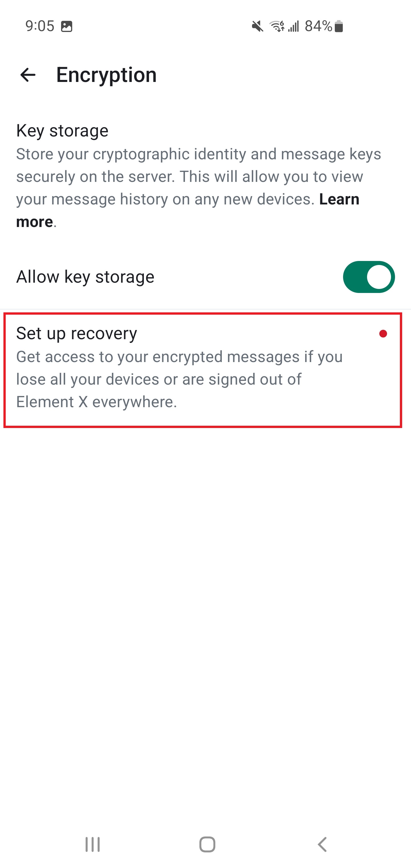 Encryption settings page with Set up Recovery button and red dot indicator